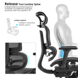 High Back Ergonomic Mesh Office Chair